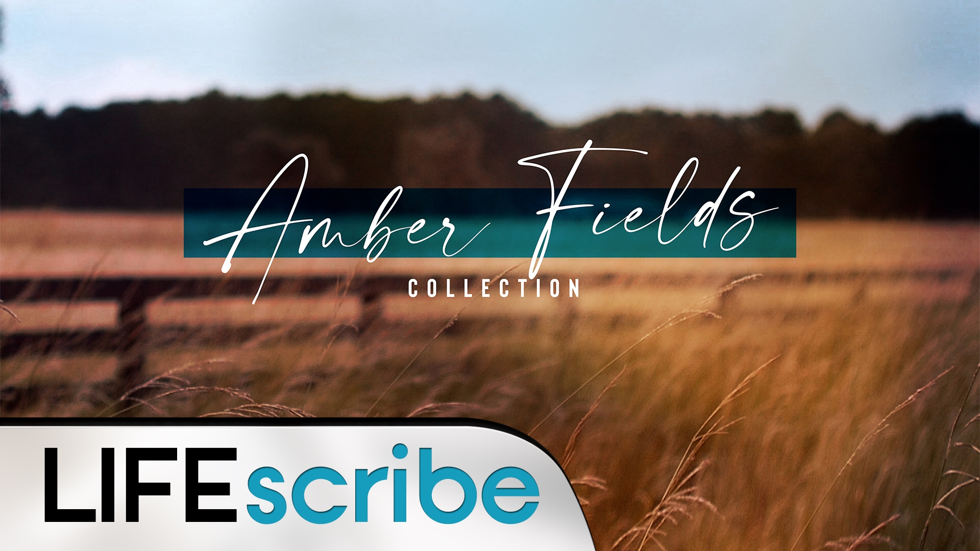 Amber Fields Collection
