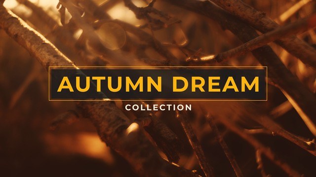Autumn Dream Collection