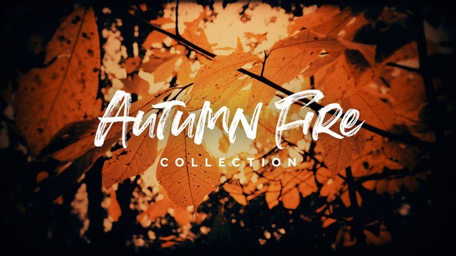 Autumn Fire Collection