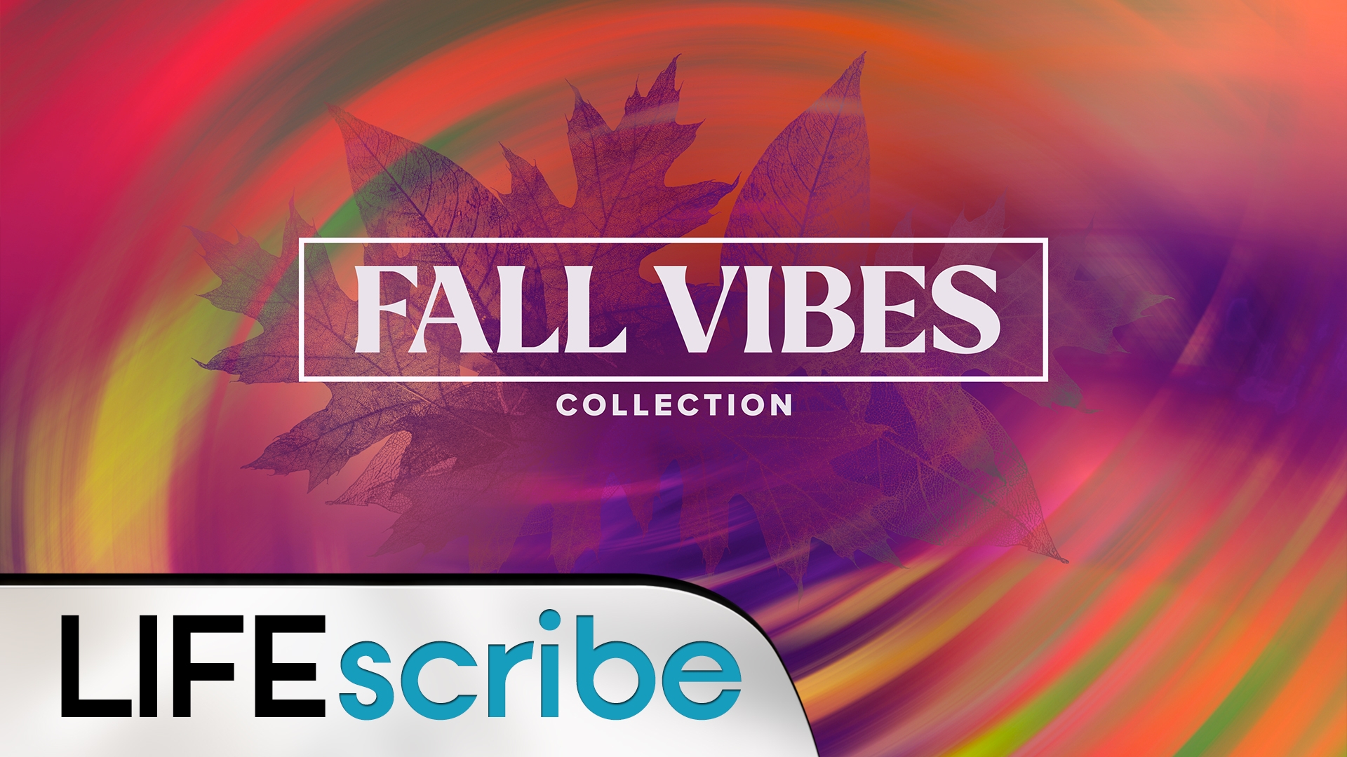 Fall Vibes Collection