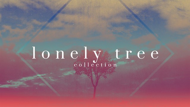 Lonely Tree Collection