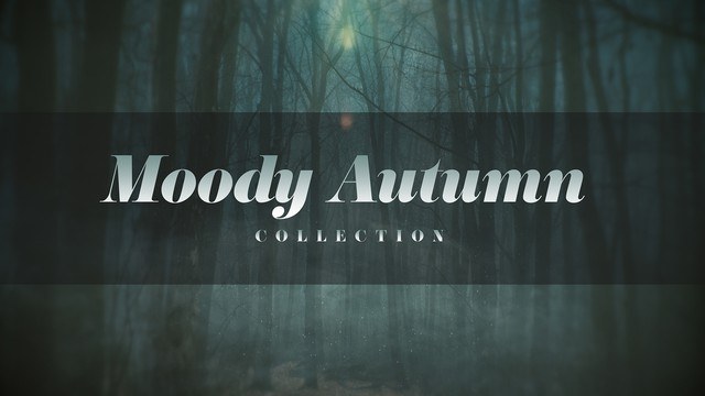 Moody Autumn Collection