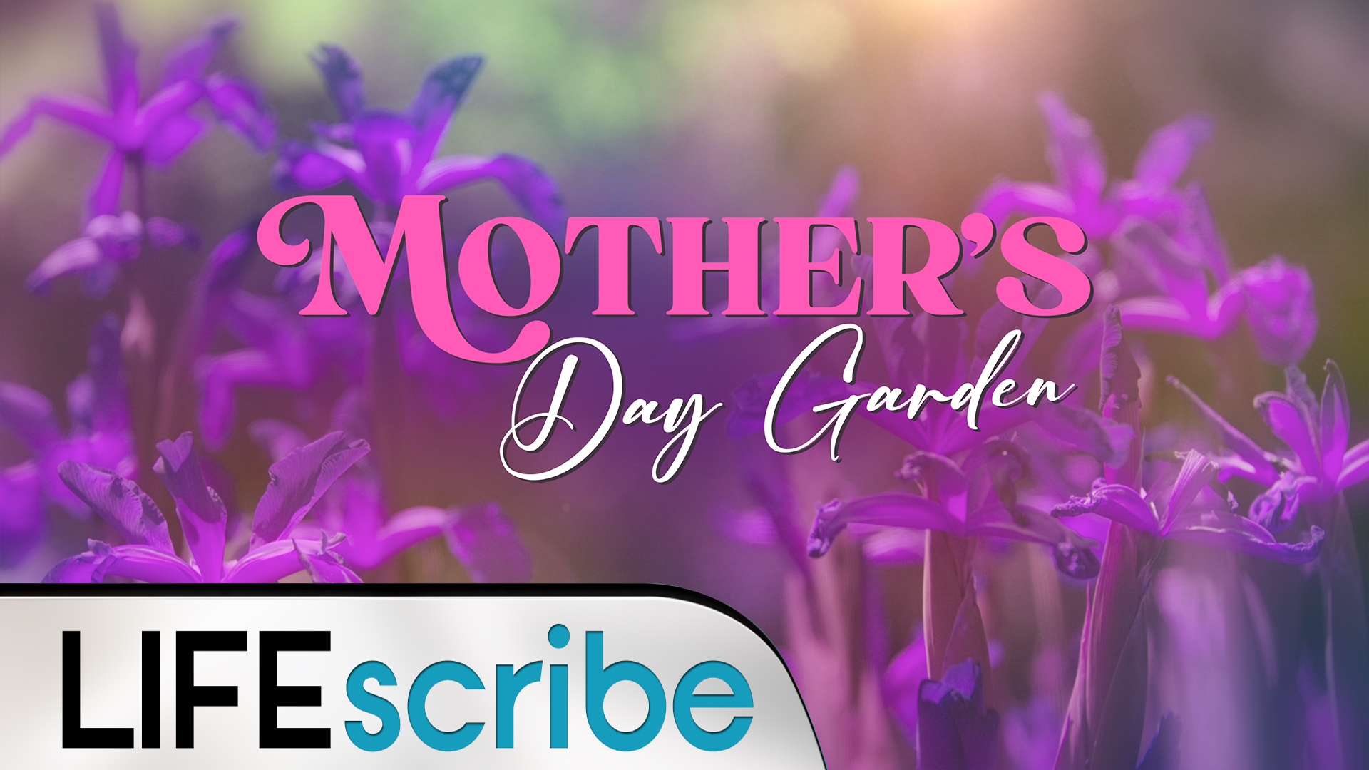 Mother’s Day Garden Collection