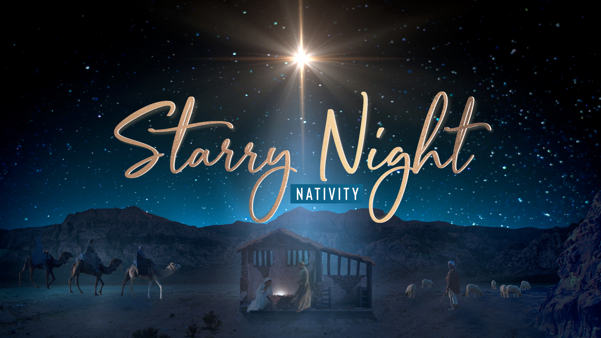 Starry Night Nativity Collection