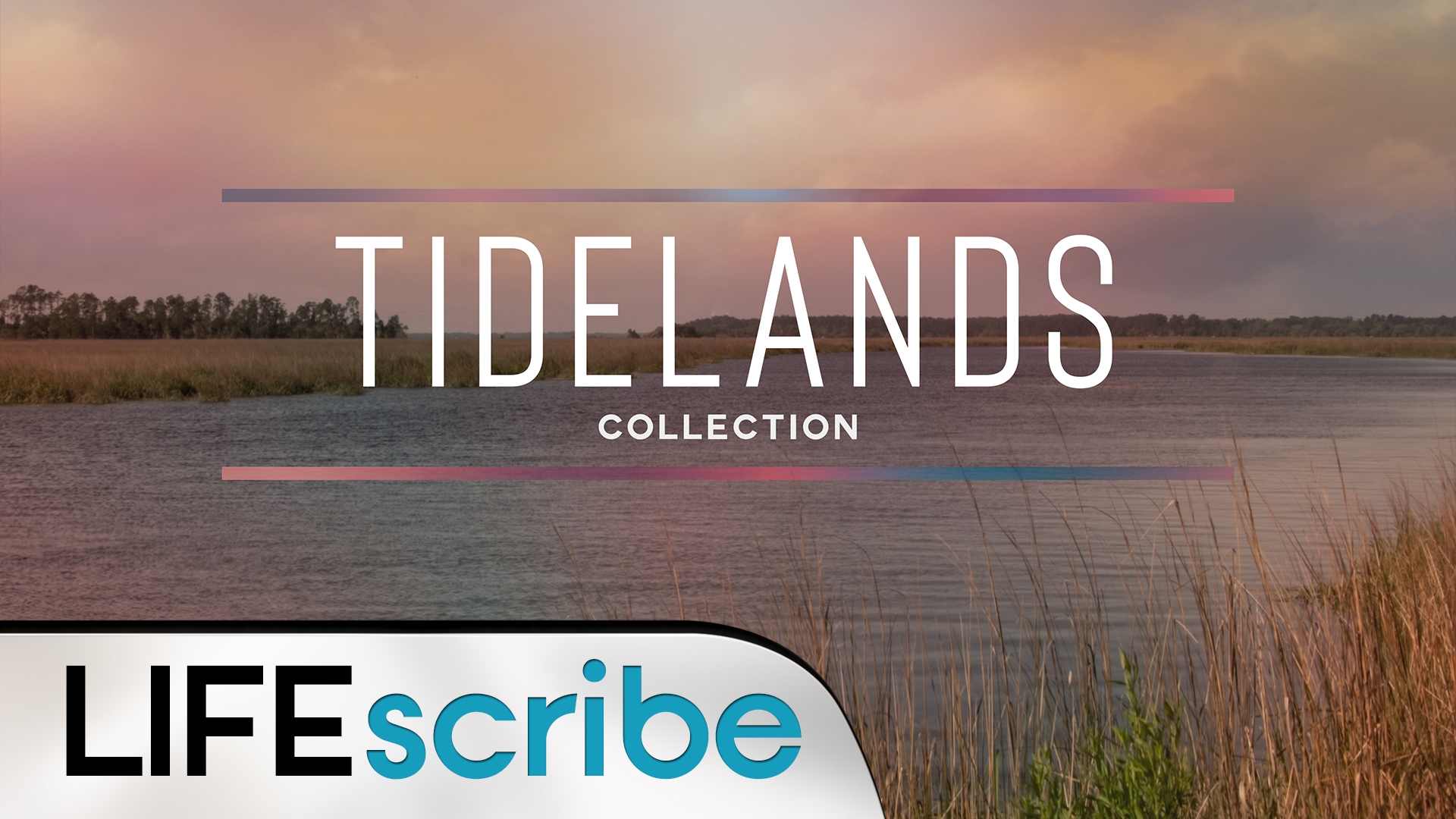 Tidelands Collection