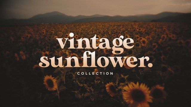 Vintage Sunflowers Collection