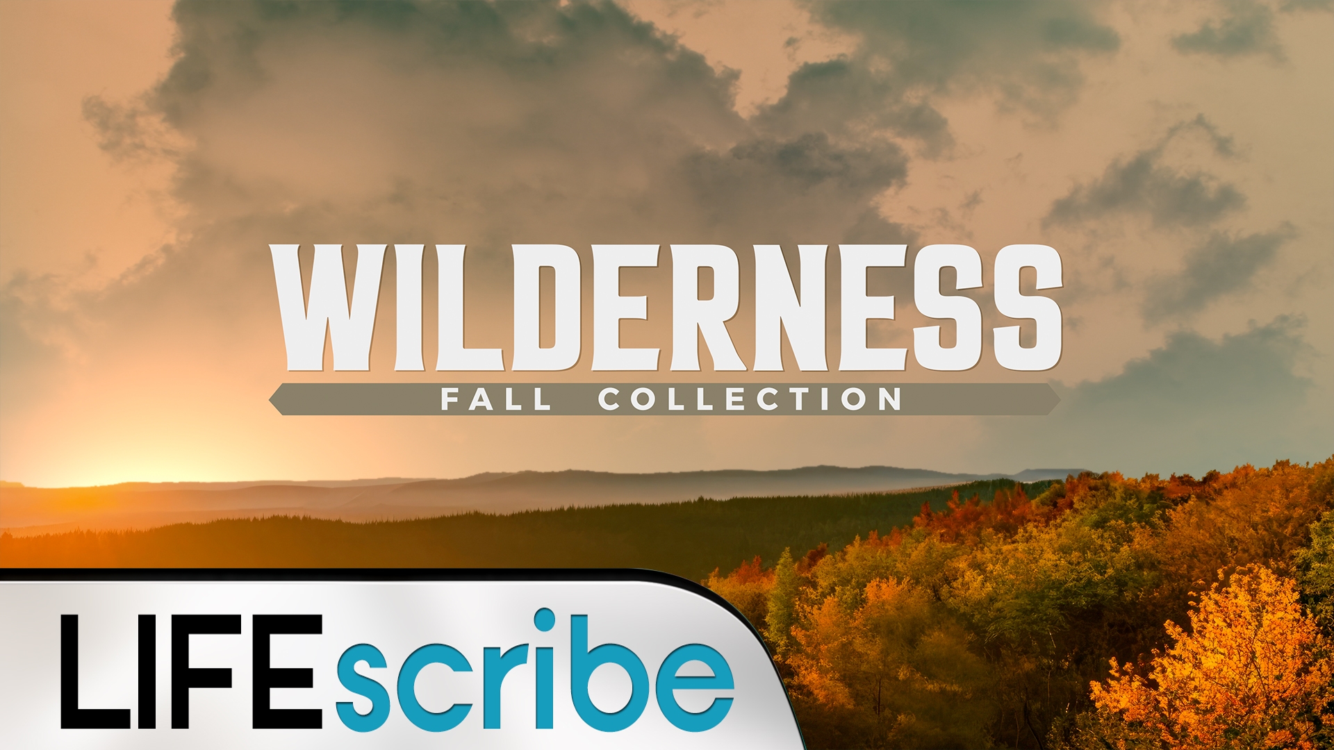 Wilderness Fall Collection