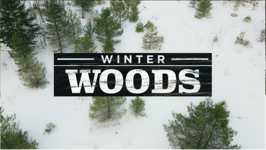 Winter Woods Service Pack
