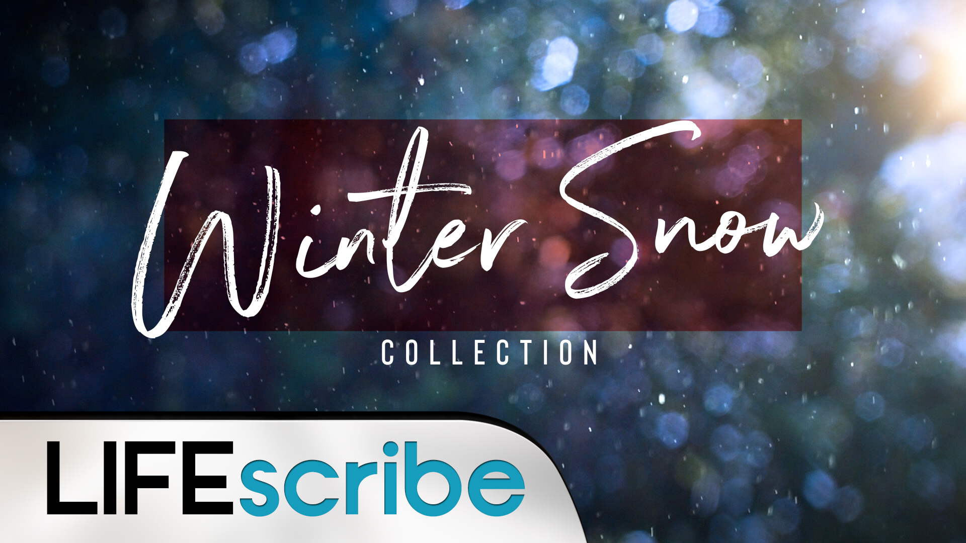 Winter Snow Collection | Life Scribe Media