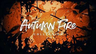 Autumn Fire Collection