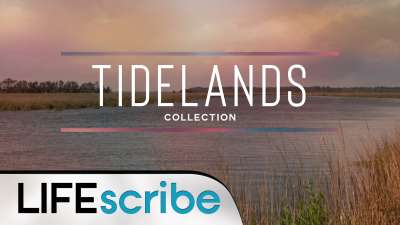 Tidelands Collection