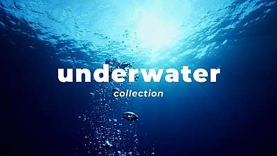 Underwater Collection