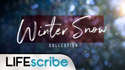 Winter Snow Collection | Life Scribe Media