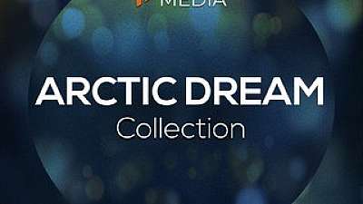 Arctic Dream Collection