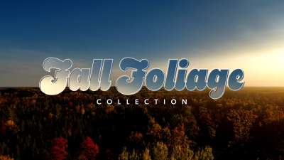 Fall Foliage Collection