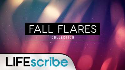 Fall Flares Collection