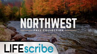 Northwest Fall Collection