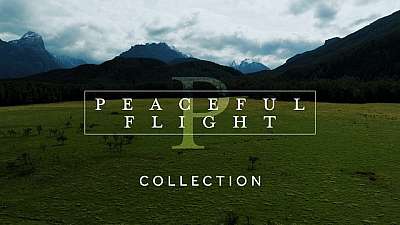 Peaceful Flight Collection