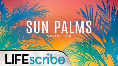 Sun Palms Collection