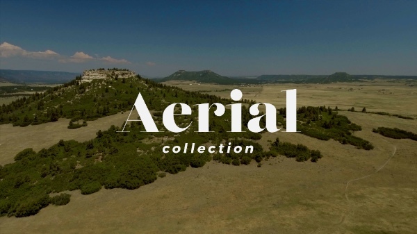 Aerial Collection
