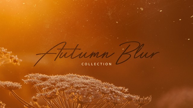 Autumn Blur Collection