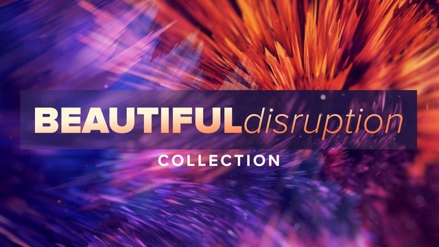 Beautiful Disruption Collection