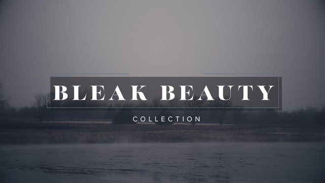 Bleak Beauty Collection