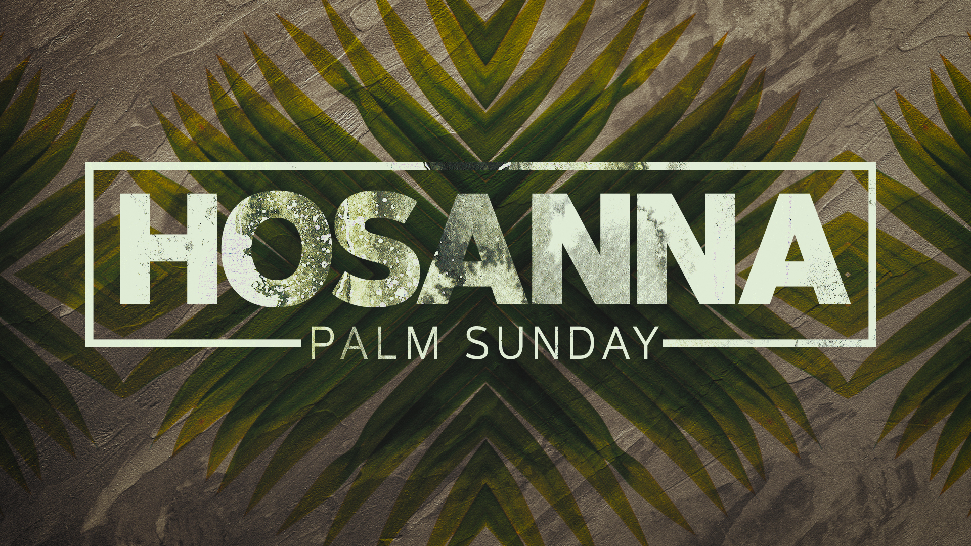 Hosanna (Palm Sunday) Graphic Pack
