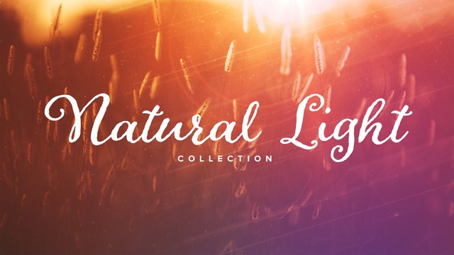 Natural Light Collection