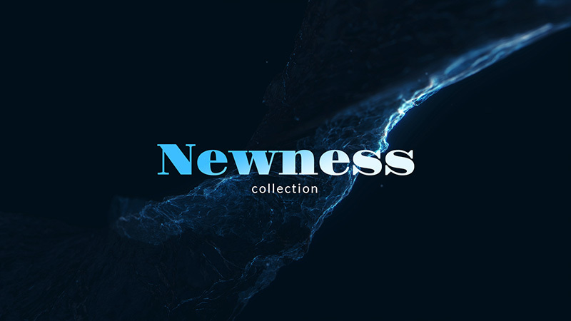 Newness Collection