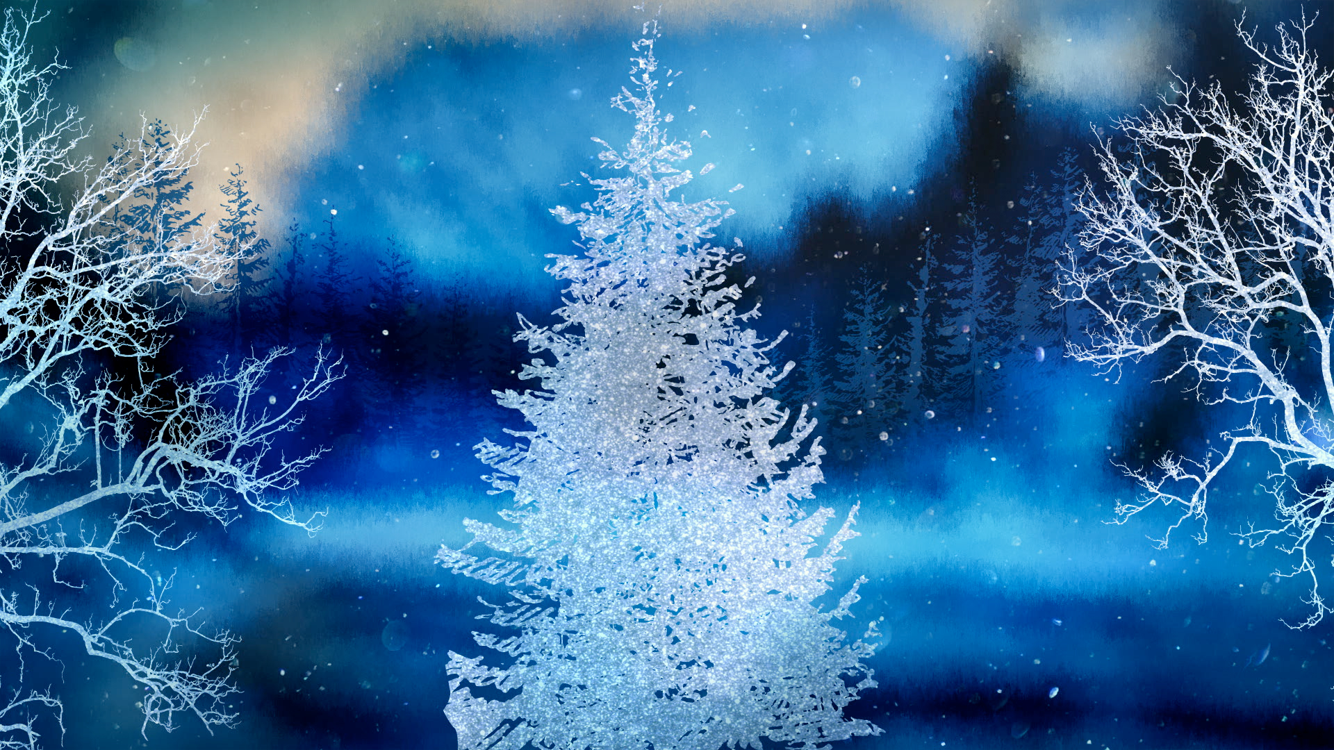 Christmas Woods 13 | Motion Video Background