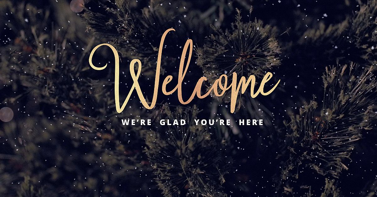 Christmas Tree Welcome | Motion Video Background