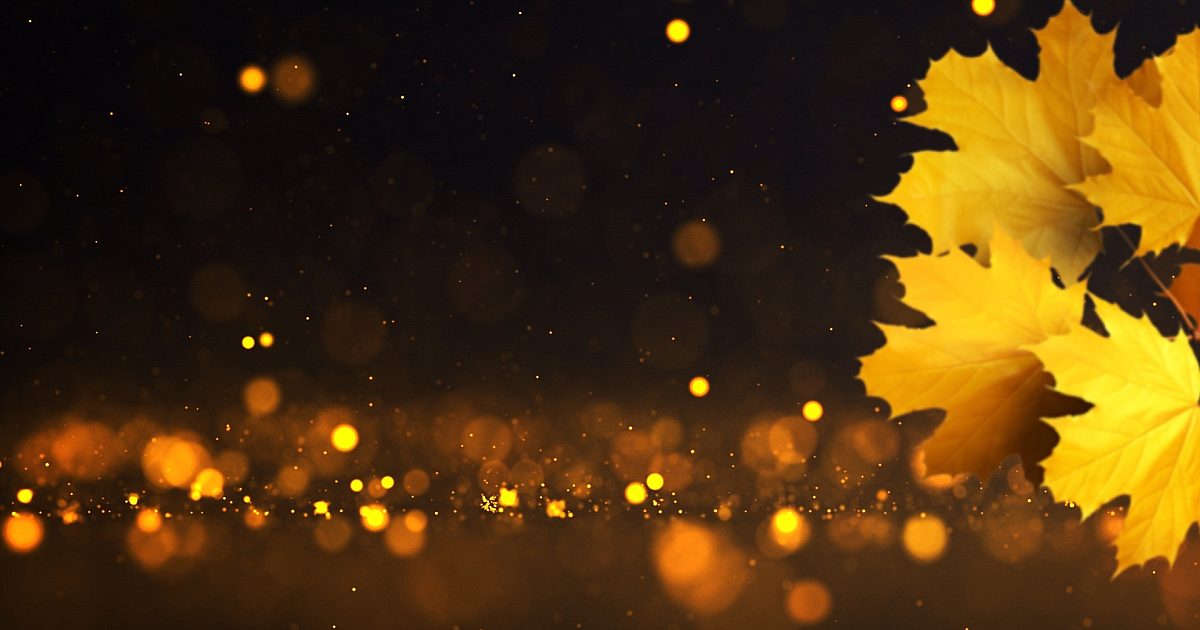 Fall Vol 1 Worship 02 | Motion Video Background