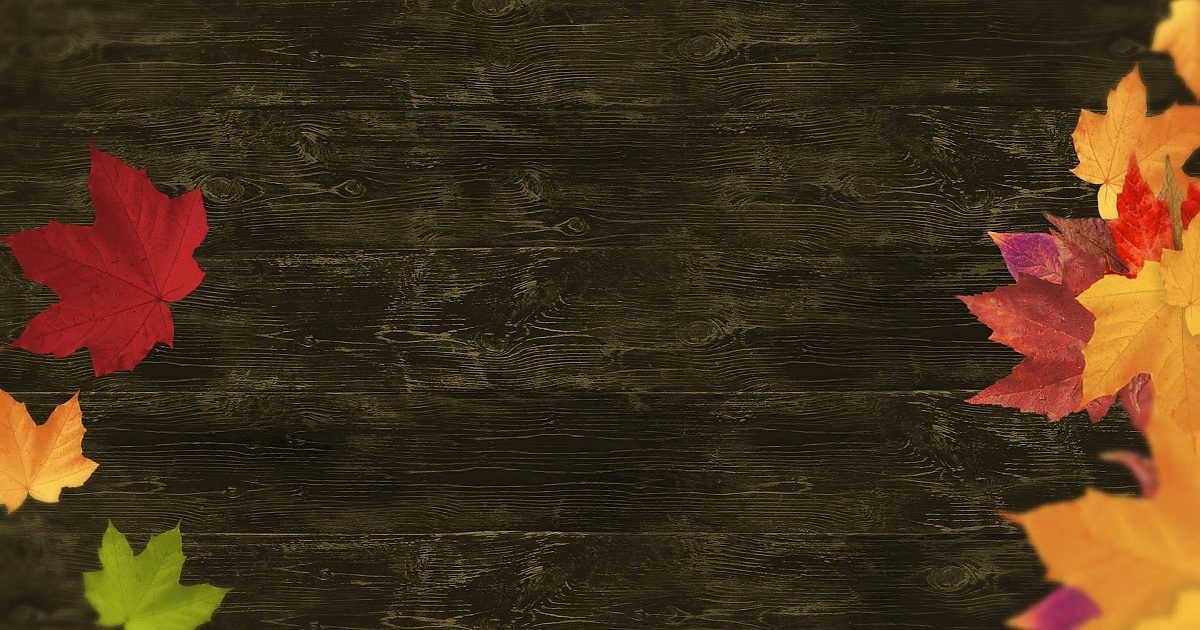 Fall Vol 2 Worship Background 2 | Motion Video Background