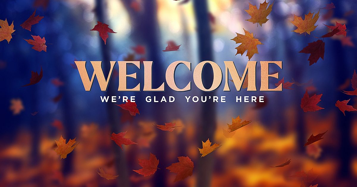 Fall Woods Welcome | Motion Video Background