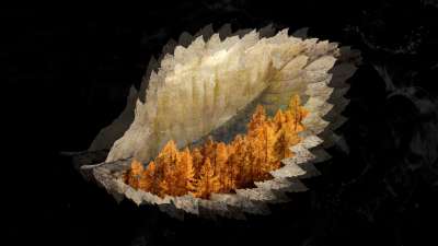 Autumn Falling 1