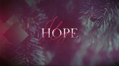 Christmas Journey Advent Hope