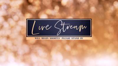 Christmas Light Live Stream