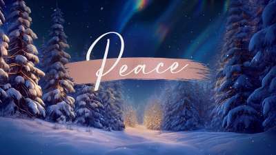 Christmas Snow Peace