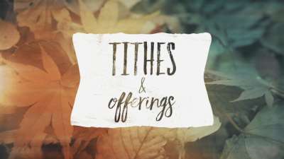 Fallen Leaves Tithes & Offerings