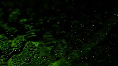 Glass Surface Green Sparks