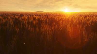 Golden Hour Sunset