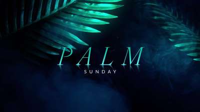 Holy Week Reflections Palm Sunday