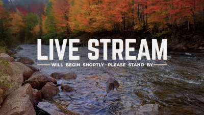 Northwest Fall Live Stream