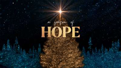 Sparkling Christmas Hope