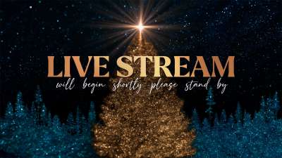 Sparkling Christmas Live Stream