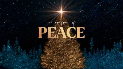 Sparkling Christmas Peace