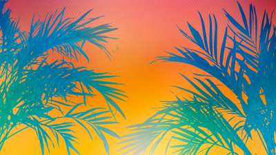 Sun Palms 1