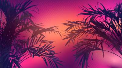 Sun Palms 10