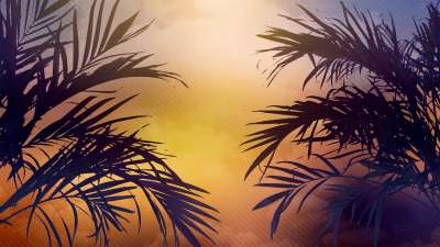 Sun Palms 2